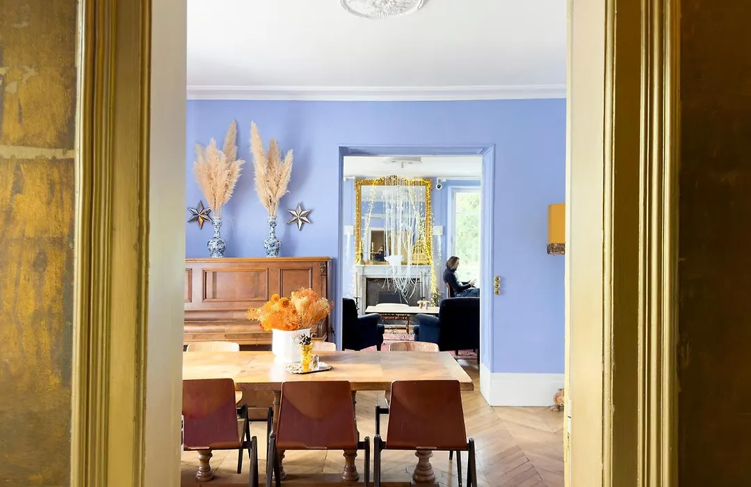 Maison Stella Cadente, Maison d'hôtes Artistique et Jardin à Provins-1